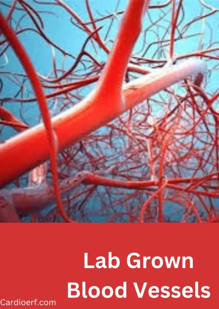 lab grown blood vessels