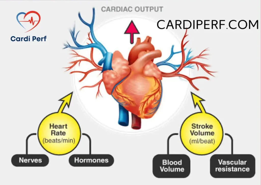 Blood pressure regulation and cardiac output management in cardiac surgery for perfusionists